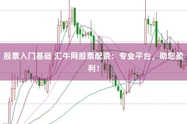 股票入门基础 汇牛网股票配资：专业平台，助您盈利！