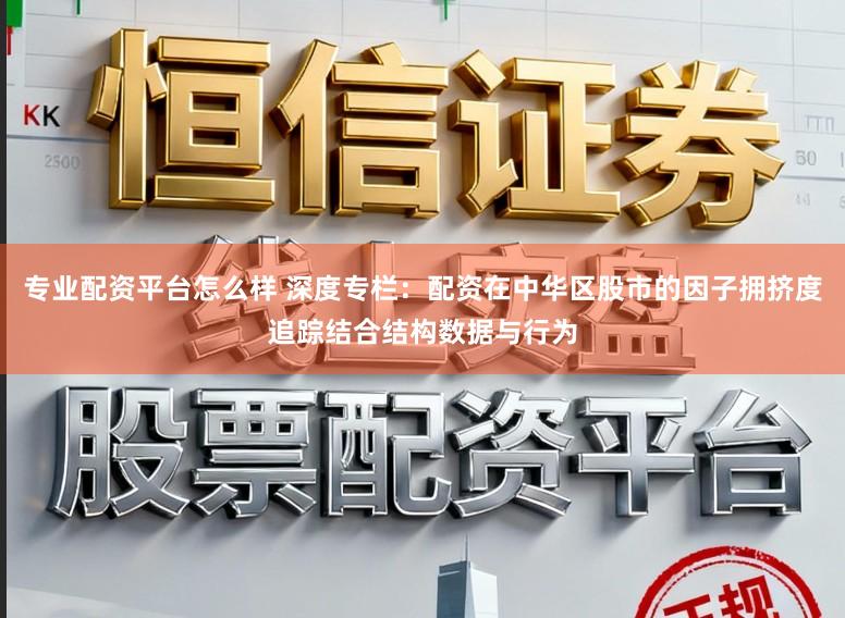 专业配资平台怎么样 深度专栏：配资在中华区股市的因子拥挤度追踪结合结构数据与行为