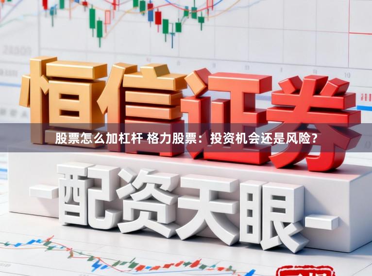 股票怎么加杠杆 格力股票：投资机会还是风险？