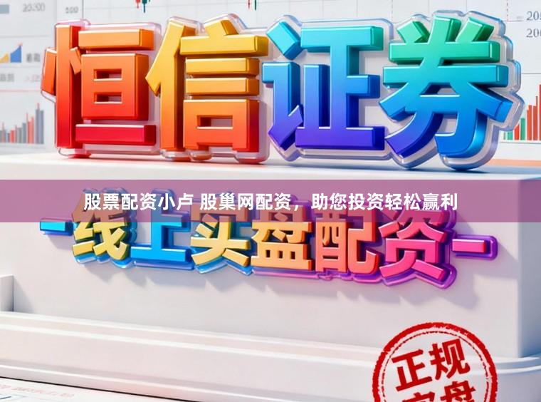 股票配资小卢 股巢网配资，助您投资轻松赢利